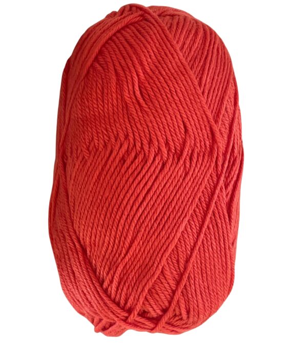 TAJ KIDDOS – RASPBERRY 28